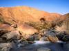 Palm Canyon Creek, Borrego Palm Canyon, San Ysid